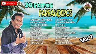 Diomedes Díaz 20 Éxitos Parranderos Vol 1 [upl. by Yruy556]