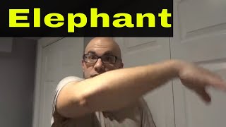 How To Make An Elephant Sound With Your MouthTutorial [upl. by Yerhpmuh]