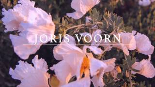 Joris Voorn  Momo [upl. by Teodorico744]