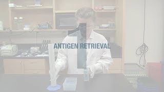 Better IHC Step 1 Antigen Retrieval [upl. by Dlarej878]