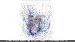 Shapley attractor [upl. by Hanavas]