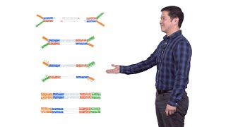 Next Generation Sequencing 2 Illumina NGS Sample Preparation  Eric Chow UCSF [upl. by Charron]