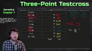 ThreePoint Testcross Example  Genetics [upl. by Atsyrhc]