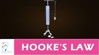 HOOKES LAW [upl. by Yrad818]