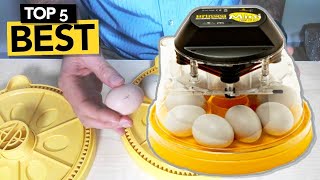 ✅ TOP 5 Best Egg Incubator you must own [upl. by Hobey]