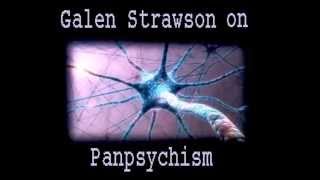 Galen Strawson on Panpsychism [upl. by Notnilk]