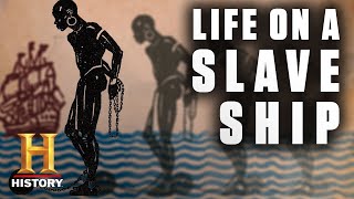 Life Aboard a Slave Ship  History [upl. by Ellak178]