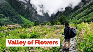 Valley of Flowers Trek  Uttarakhand  Heaven on Earth [upl. by Ajet]