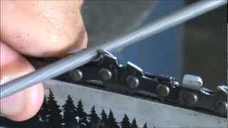 How to sharpen a chainsaw [upl. by Anelej598]