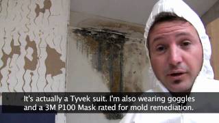 Killing Toxic Black Mold  How to Remove Mold Safely [upl. by Veronike]