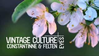 Vintage Culture Constatinne Felten  Eyes [upl. by Cedar664]