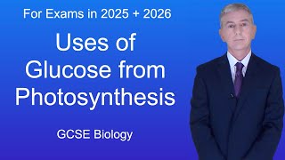 GCSE Biology Revision quotUses of Glucose from Photosynthesisquot [upl. by Decato657]