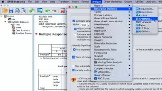 SPSS How To Perform Quantitative Data Analyses For Bachelors Research 5 Basic Analysis Methods [upl. by Enneyehc]