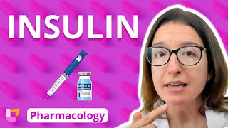 Insulin  Pharmacology  Endocrine System  LevelUpRN [upl. by Naimaj954]