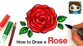 How to Draw an Open Rose EASY [upl. by Abby110]