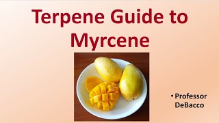 Terpene Guide to Myrcene [upl. by Trin835]