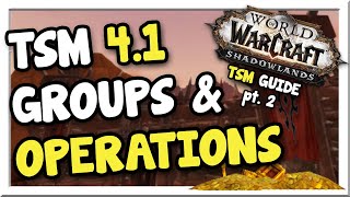 TSM 411 Group amp Operations Beginner Guide  Shadowlands  WoW Gold Making Guide [upl. by Primrosa38]