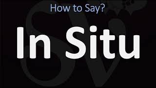 How to Pronounce In Situ CORRECTLY [upl. by Aiuqal]