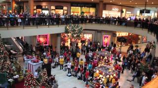 Flash Mob the best of Christmas 2011  Flash Mob Best Of [upl. by Minsk]