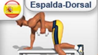 Ejercicio para sacar Musculo Espalda  Dorsales [upl. by Hurwit219]