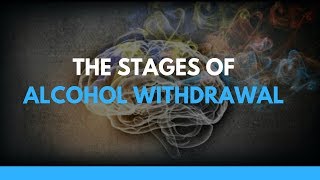 The Stages of Alcohol Withdrawal [upl. by Nalorac368]