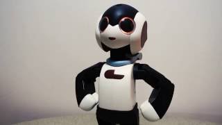 Meet Robi the Singlish Robot You Have To Build Yourself [upl. by Tnecnev854]