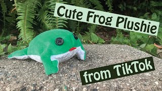 Making a FROG STUFFED ANIMAL from TikTok Frog Plushie for my Sister Pattern Included [upl. by Aicats]