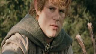 Stupid Fat Hobbit Never mess with Sam LOTR  Edit [upl. by Sachs374]