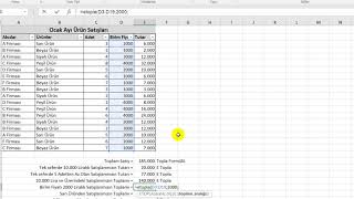 Excel Bir veya Birden Çok Kritere Göre Toplama İşlemi Etopla ve Çoketopla Formülleri [upl. by Aehtorod24]