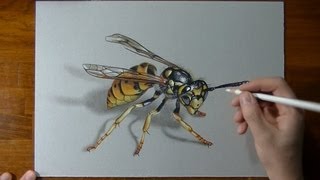 How to draw a 3D wasp [upl. by Watanabe191]