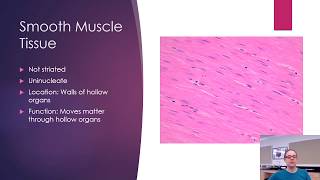 Histology  Bone and Muscle [upl. by Chemash812]