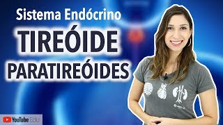 Tireóide e Paratireóides Sistema Endócrino [upl. by Libnah]