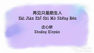 Zai Jian zhi shi mo Sheng ren  再见只是陌生人 pinyin Lyric [upl. by Maroney473]