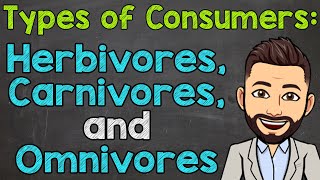 Types of Consumers  Herbivores Carnivores and Omnivores [upl. by Yekciv923]