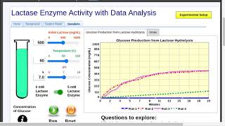 Lactase Enzyme Activity with Data Analysis Simulation [upl. by Brackely237]