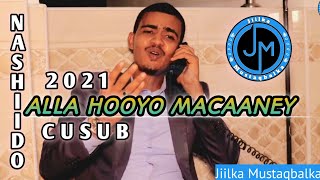 Baajamaall  ALLA HOOYO MACAANEY  Office Video 2021 [upl. by Nollahs]