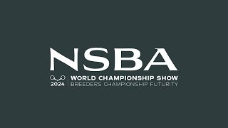 2024 NSBA World Show Saturday August 10 Pavilion Arena [upl. by Aibonez]