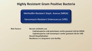 Antibiotics for Gram Positive Infections Antibiotics  Lecture 4 [upl. by Ahtreb]