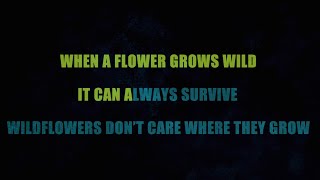 Wildflowers Karaoke by Dolly Parton [upl. by Atiuqal643]