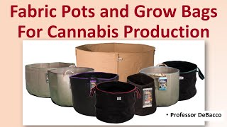 Fabric Pots and Grow Bags For Cannabis Production [upl. by Rafaelita73]