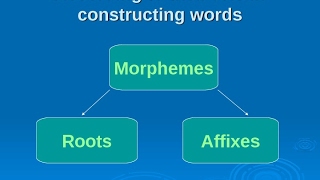 MORPHEME [upl. by Ennaerb]