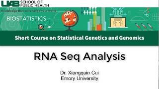 Transcriptome Analysis using RNASeq Data [upl. by Burney]