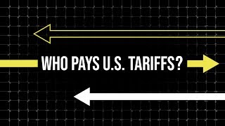 Who Actually Pays Tariffs [upl. by Esenaj]