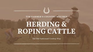 Herding and Roping Cattle the Old Fashioned Cowboy Way [upl. by Lossa]