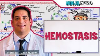 Hematology  Hemostasis Coagulation Cascade [upl. by Chafee]