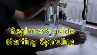 Stepbystep guide to starting your Spirulina culture [upl. by Nonna]