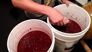 How to Start a Wine Fermentation and Balance Your Must  Home Winemaking [upl. by Nesyla142]