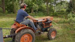 Flail Mowing  Kubota B7100 [upl. by Aenad]