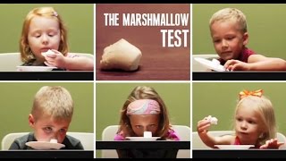 the marshmallow experiment  Instant gratification [upl. by Kennard]