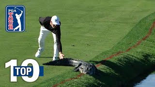 Top 10 Animal Encounters on the PGA TOUR [upl. by Idoj]